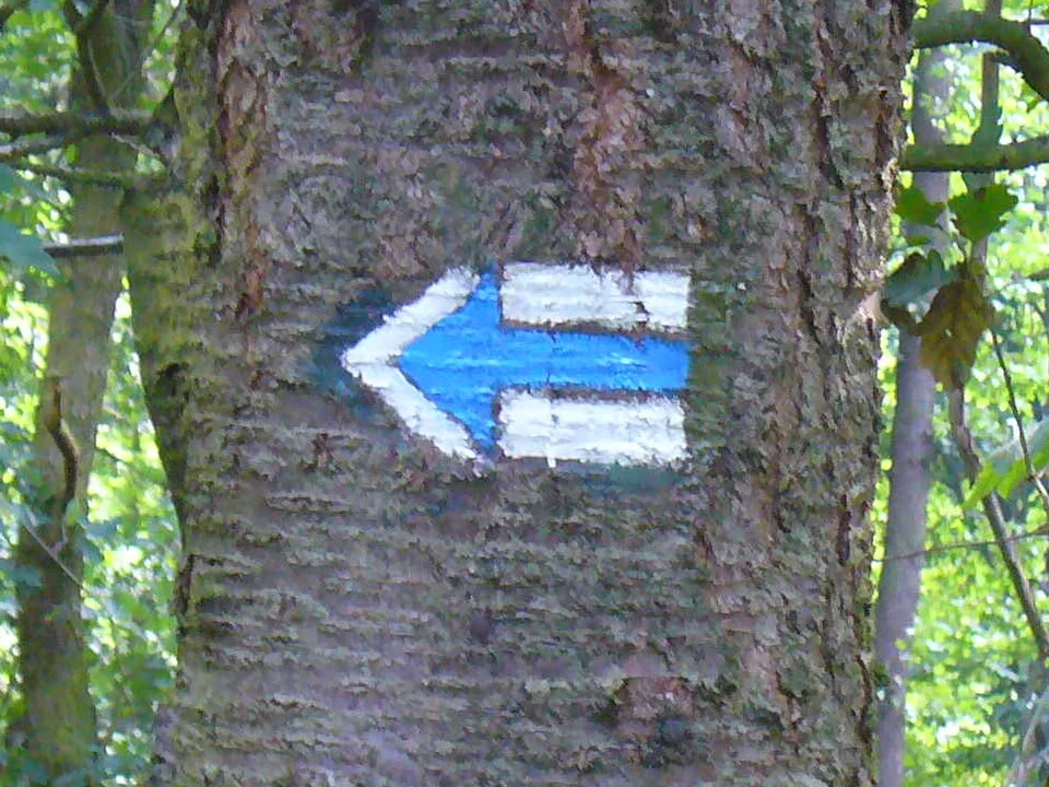 Šipka jako turistické značení