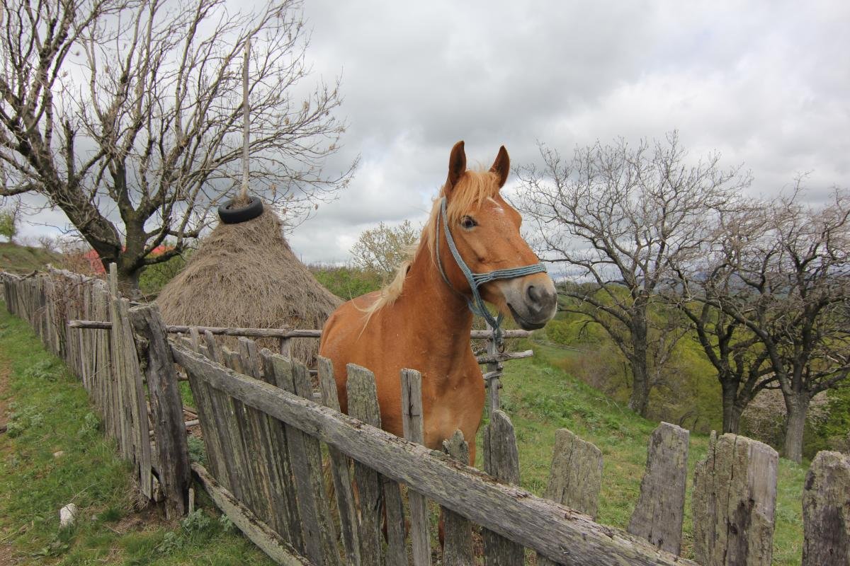Rovensko, nejmalebnější vesnice celého českého Banátu