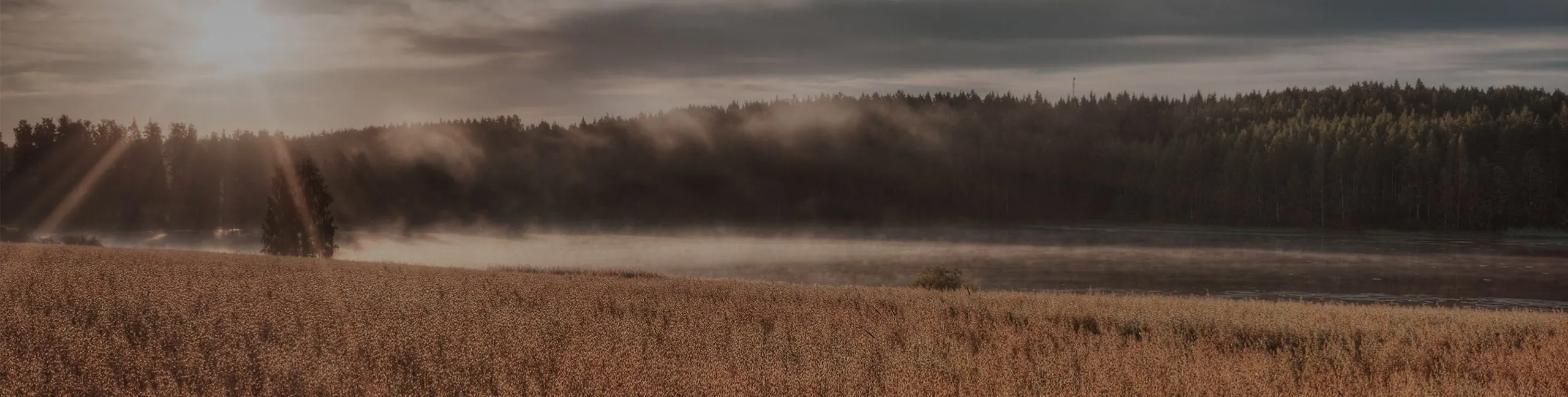Myslivost, lov a sokolníci